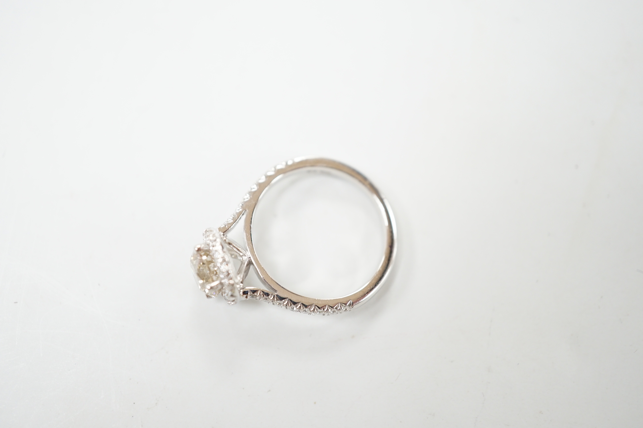 A modern platinum and single stone diamond set ring, with diamond chip set border and shoulders, size G, gross weight 4.2 rams.